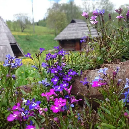 Mundi Camping House